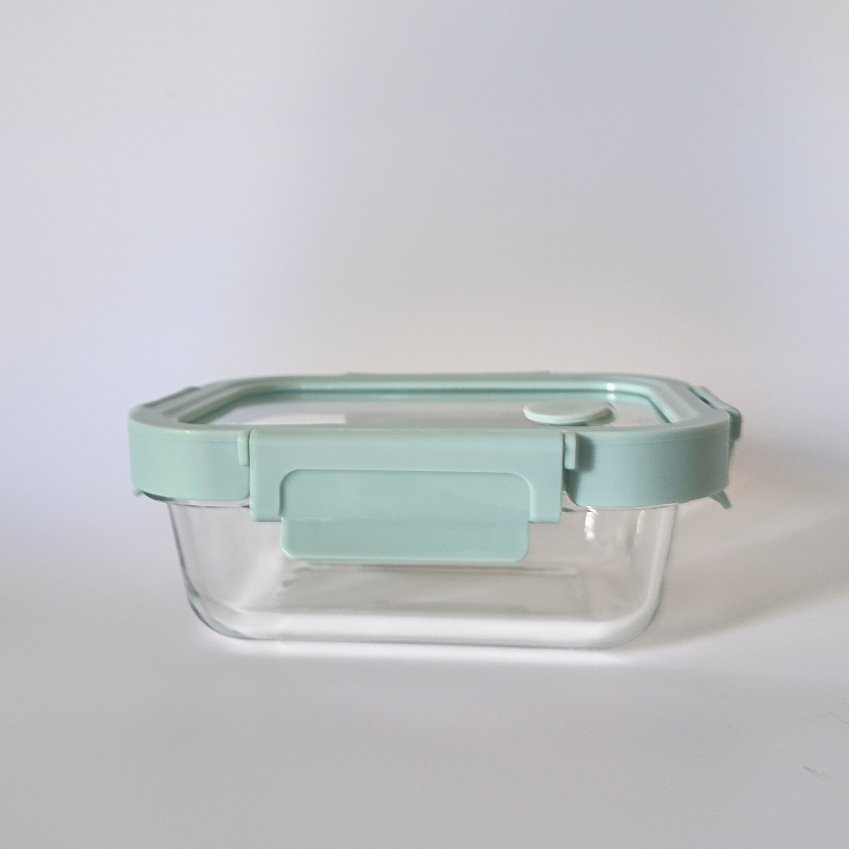 Aniko Rectangular Vented Glass Lid Container