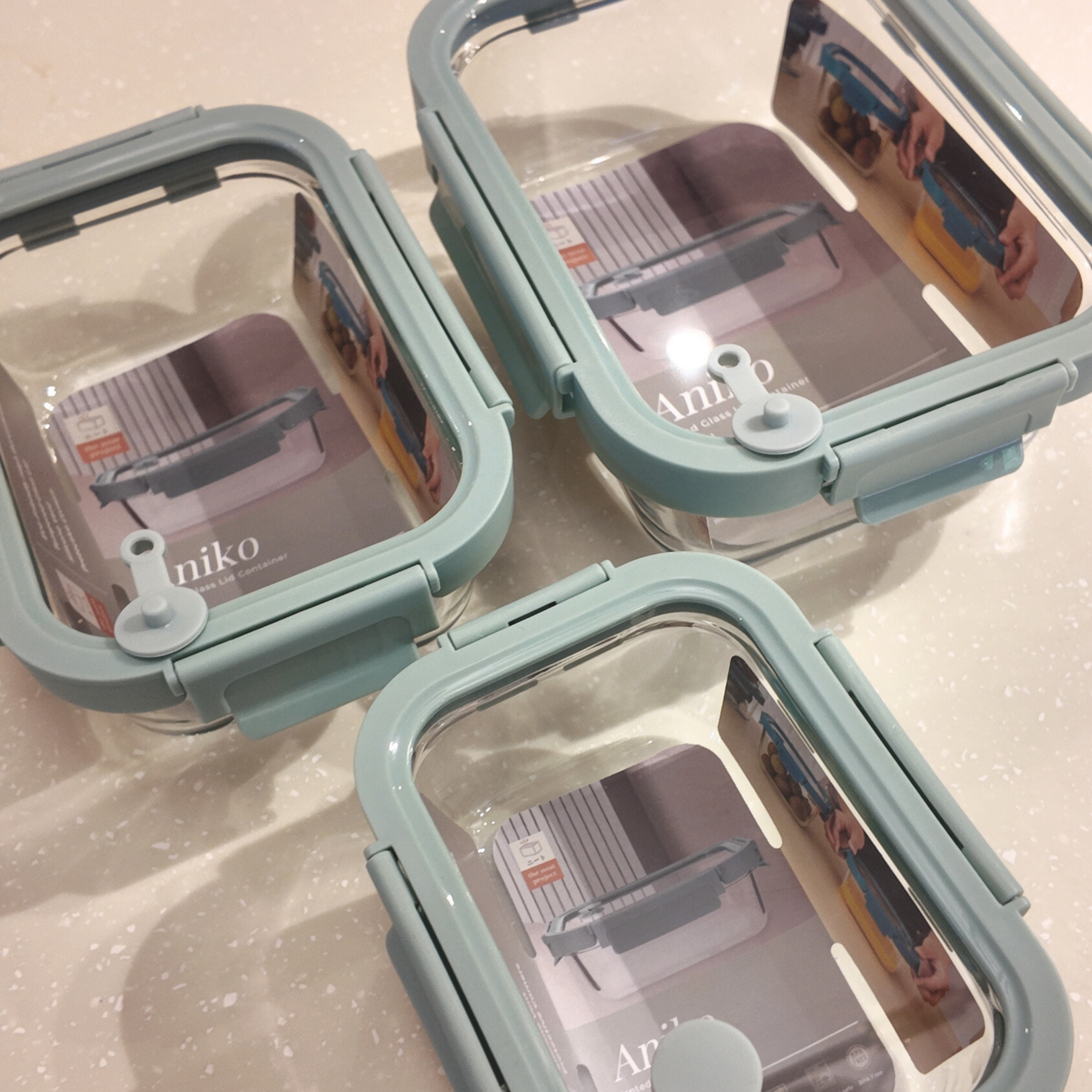 Aniko Rectangular Vented Glass Lid Container
