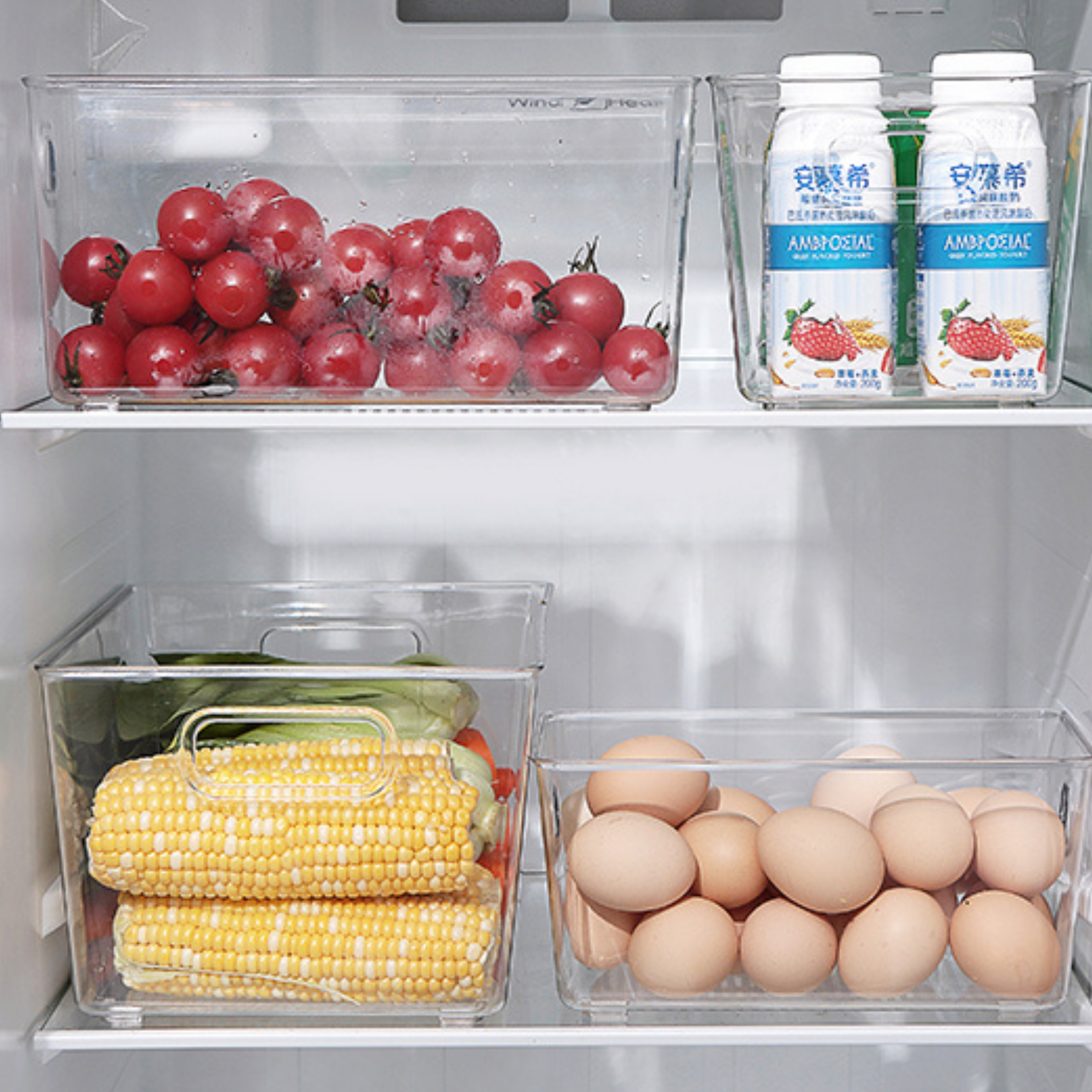 Sachi Clear Storage / Refrigerator / Fridge Bin with handles (Small)
