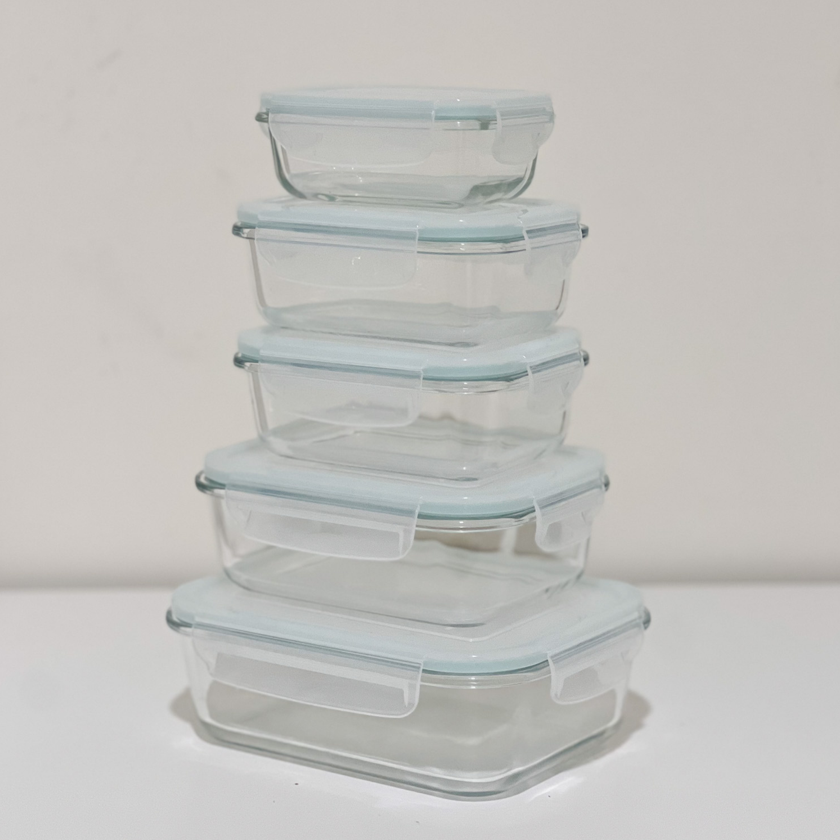 Akamiya Rectangular High Borosilicate Glass Microwaveable Food Container