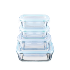 Akamiya Rectangular High Borosilicate Glass Microwaveable Food Container