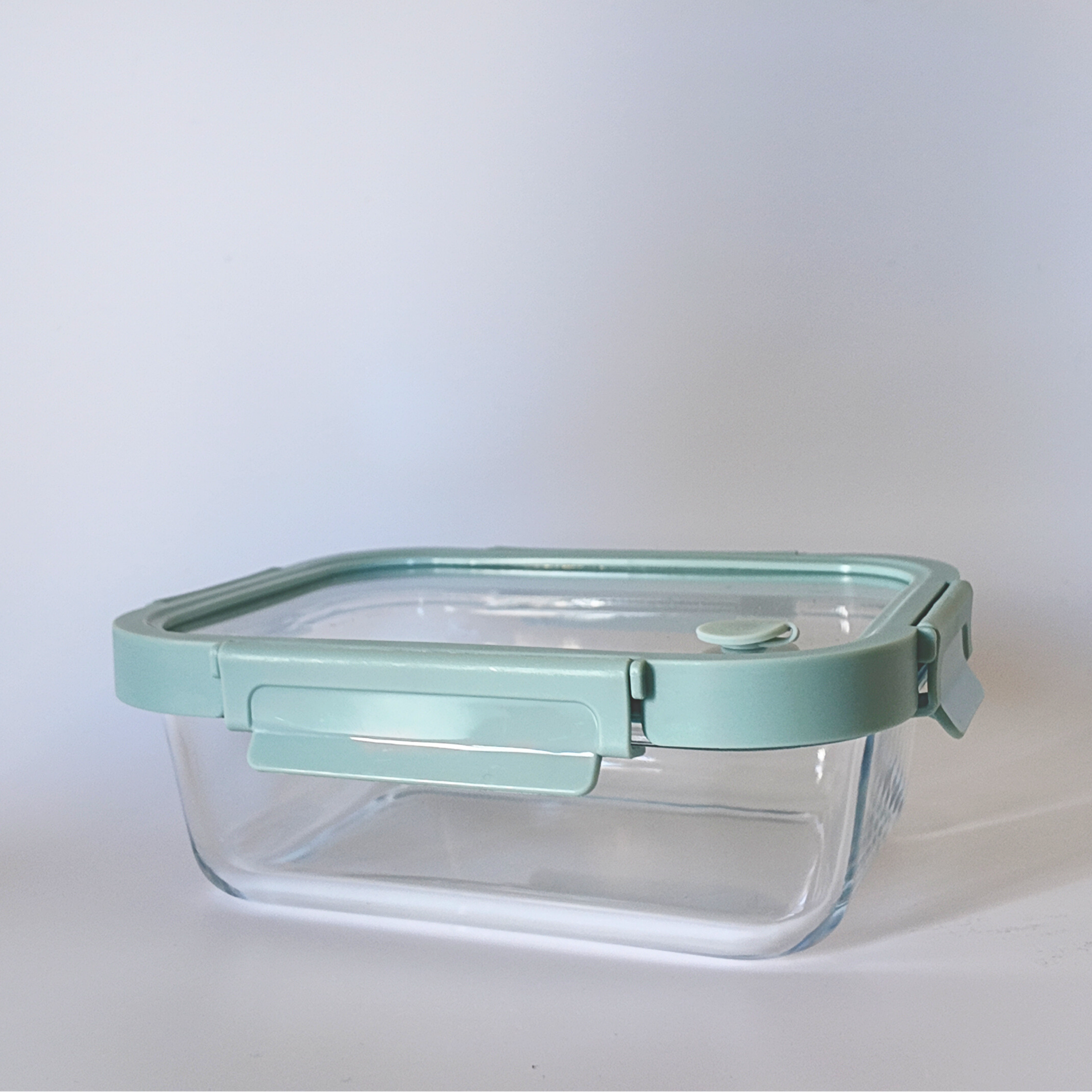 Aniko Rectangular Vented Glass Lid Container