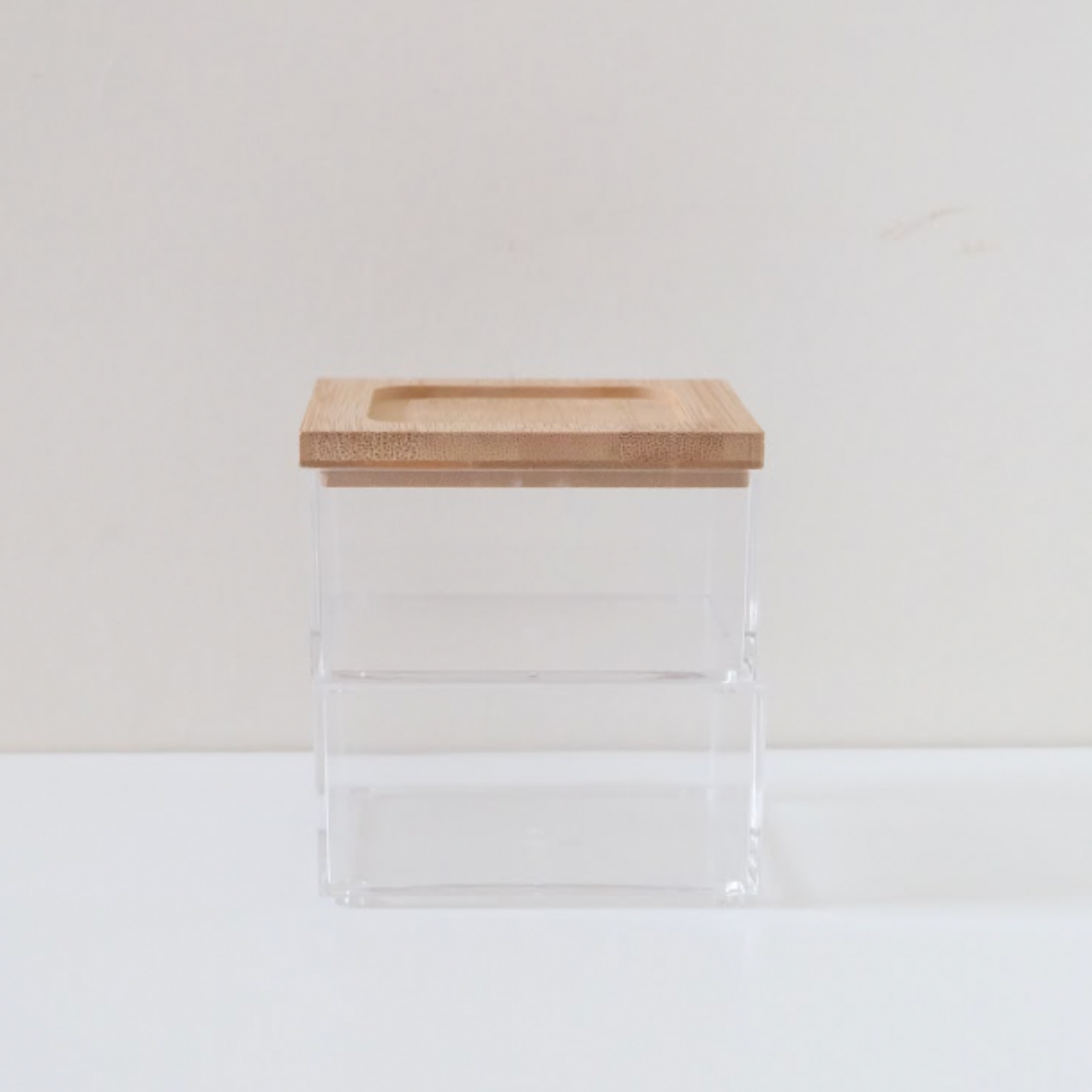Sachi Stylish 2-Tier Small Storage Organizer with Wood Cover