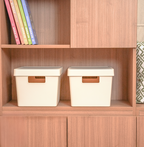Sachi Beige Storage Basket with Lid