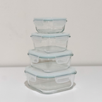 Akamiya Square High Borosilicate Glass Microwaveable Food Container